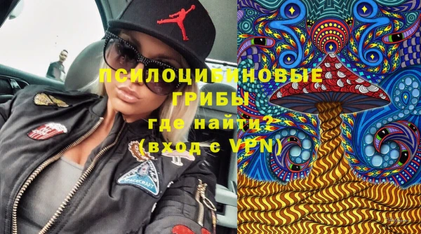 героин Горняк