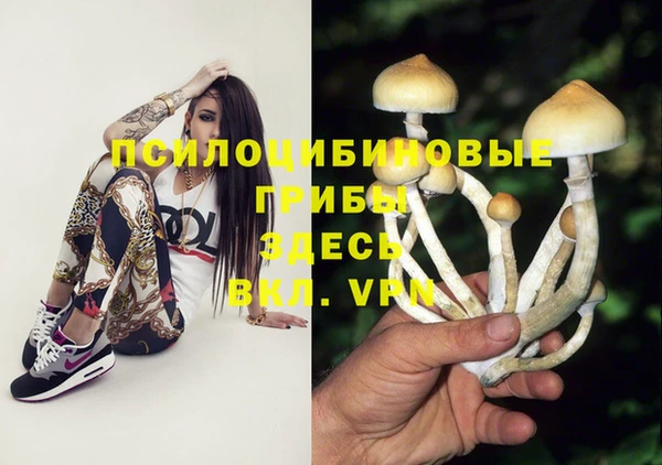 марки lsd Горно-Алтайск