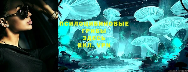 героин Горняк